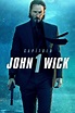 Ver John Wick (2014) Online - SeriesKao