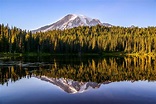 Washington National Parks: Mountains and Forests