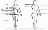 The standard body measurements chart | Download Scientific Diagram