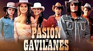 Pasión de Gavilanes: fecha de estreno y personajes de su regreso