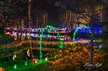 Botanical Gardens Light Show - Home Garden