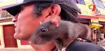 'El Hombre Rata': conoce la increíble historia...