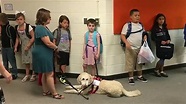 Can A Teacher Have A Service Dog