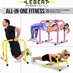 Lebert Fitness Dip Bar Stand - Original Equalizer Total Body ...