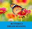 Butterfly Dream Meaning - Top 14 Dreams About Butterfly : Dream Meaning Net