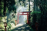 What is Torii Gate? Meaning, Types and Facts | Japan Wonder Travel Blog