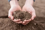 Home Soil Testing: Using The Soil Test Report - Alabama Cooperative ...