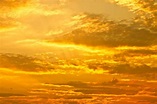 Perfect pallet of yellows | Yellow aesthetic, Yellow sky, Sky pictures