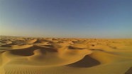 Desert ecology - Wikipedia