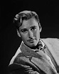 Errol Flynn-Annex3