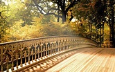 Bridge in a Park, Nature Background #4238680, 1920x1200 | All For ...
