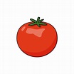 ilustración vectorial de tomate rojo dibujada en estilo de dibujos ...