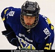 Wiktor Andersson - Stats & Facts - Elite Prospects
