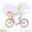 Bride on a bicycle stock vector. Illustration of happiness - 39107082