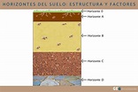 Horizontes del suelo - Estructura y factores