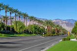 2,600+ Coachella Valley Stock Photos, Pictures & Royalty-Free Images ...