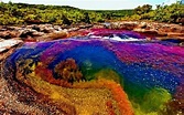 The Rainbow River of Colombia | The Rive Of Five Colors Colombia