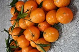 海梨桶柑 | 蔬果類 | 卡路里 | 元氣網