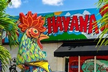10 Best Things to Do in Little Havana, Miami - 2023 List and Images