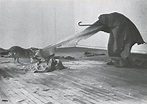 Details, Details: Joseph Beuys's Coyote 1974 – Tate Etc | Tate