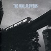 The Wallflowers - Collected: 1996-2005 - Amazon.com Music