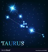 The taurus zodiac sign of the beautiful bright Vector Image