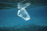 The Plastic in our Oceans - Science in the News
