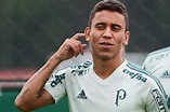 Marcos Rocha volta a treinar e pode reforçar o Palmeiras na final ...