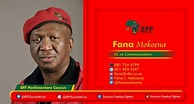 Fana Mokoena age, children, wife, parents, education, qualifications ...