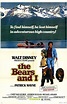 Los osos y yo - Película 1974 - SensaCine.com