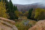 Herbstwanderung im Harz | Torfhaus – Eckerstausee – Bad Harzburg