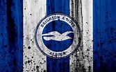 FC Brighton and Hove Albion Premier League, logo, England, soccer ...