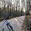 Park in Tomilino Cycling - Moscow Oblast, Russia | Pacer