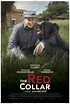 The Red Collar (2018) - IMDb