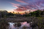 Top Activities in Everglades National Park