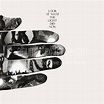 Album Art Exchange - Look at What the Light Did Now by Feist - Album ...