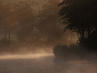 Kostenlose foto : Baum, Natur, Wald, Licht, Wolke, Himmel, Nebel ...