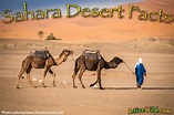 Sahara Desert Facts For Kids & Students: Pictures, Information & Video