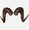 rams horns png - ram horn PNG image with transparent background | TOPpng