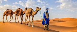 Marokko Trekking- & Wanderreise: Wanderurlaub in der Wüste Karawane