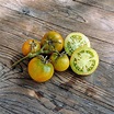 Green Martian Tomato-Meraki Seeds