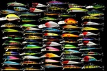 WholeSale X50 Fishing Lure Lot -Medium Lures | eBay