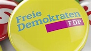 logo!: Was ist die Freie Demokratische Partei (FDP)? - ZDFtivi