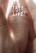 The Tree of Life streaming: where to watch online?