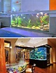 30+ Stunning Aquarium Design Ideas for Indoor Decorations in 2020 ...