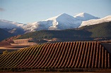 Rioja Wine Scenery Photography - Late autumn in La Rioja, Spain — James ...