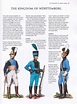 Truppe del Württemberg | Napoleonic wars, German history, Military history