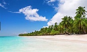 Isla Saona y sus 5 playas paradisíacas - Heyday.tours