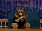 Late Night with Conan O'Brien: The Best of Triumph the Insult Comic Dog ...