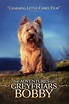 Image gallery for The Adventures of Greyfriars Bobby - FilmAffinity